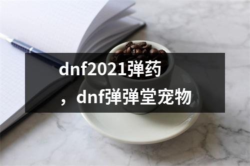 dnf2021弹药，dnf弹弹堂宠物