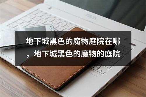 地下城黑色的魔物庭院在哪，地下城黑色的魔物的庭院