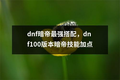 dnf暗帝最强搭配，dnf100版本暗帝技能加点