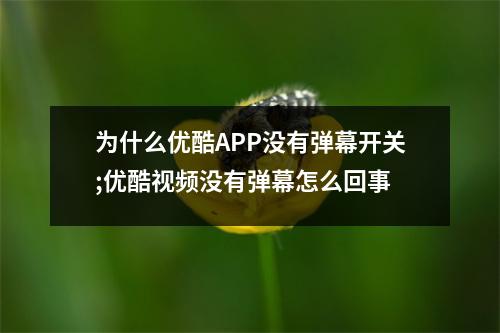 为什么优酷APP没有弹幕开关;优酷视频没有弹幕怎么回事