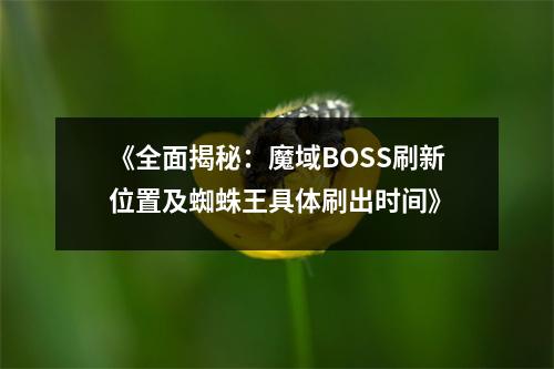 《全面揭秘：魔域BOSS刷新位置及蜘蛛王具体刷出时间》