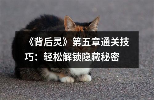 《背后灵》第五章通关技巧：轻松解锁隐藏秘密