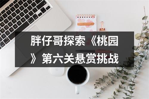 胖仔哥探索《桃园》第六关悬赏挑战