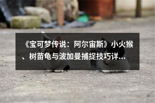 《宝可梦传说：阿尔宙斯》小火猴、树苗龟与波加曼捕捉技巧详解攻略