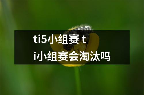 ti5小组赛 ti小组赛会淘汰吗