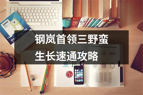 钢岚首领三野蛮生长速通攻略