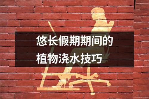 悠长假期期间的植物浇水技巧