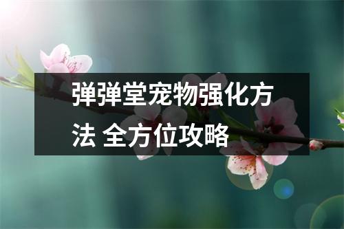 弹弹堂宠物强化方法 全方位攻略