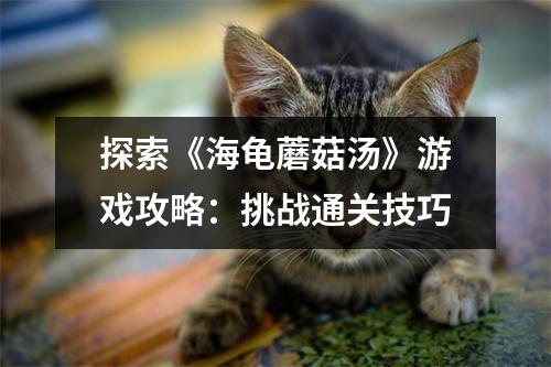 探索《海龟蘑菇汤》游戏攻略：挑战通关技巧