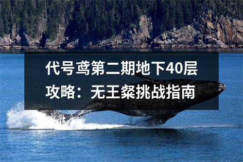 代号鸢第二期地下40层攻略：无王粲挑战指南