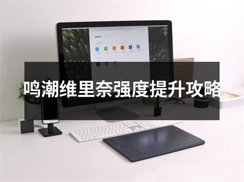 鸣潮维里奈强度提升攻略