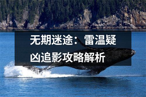 无期迷途：雷温疑凶追影攻略解析