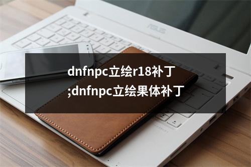 dnfnpc立绘r18补丁;dnfnpc立绘果体补丁