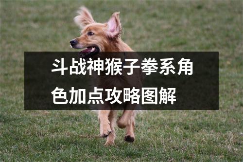 斗战神猴子拳系角色加点攻略图解