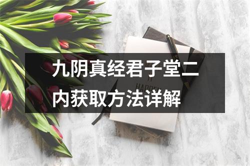 九阴真经君子堂二内获取方法详解