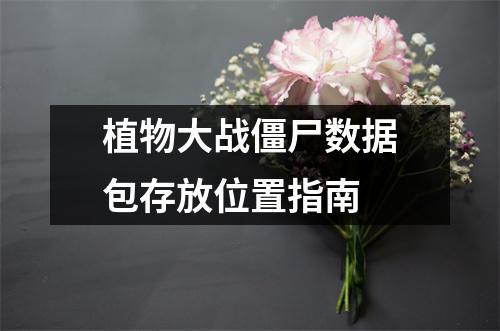 植物大战僵尸数据包存放位置指南