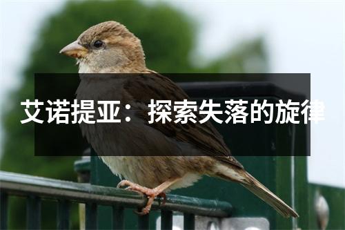 艾诺提亚：探索失落的旋律
