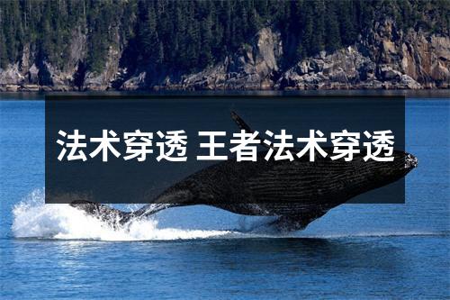 法术穿透 王者法术穿透