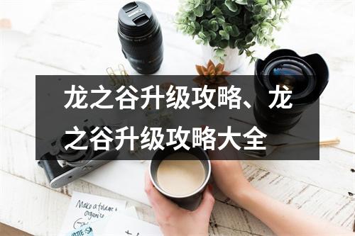 龙之谷升级攻略、龙之谷升级攻略大全