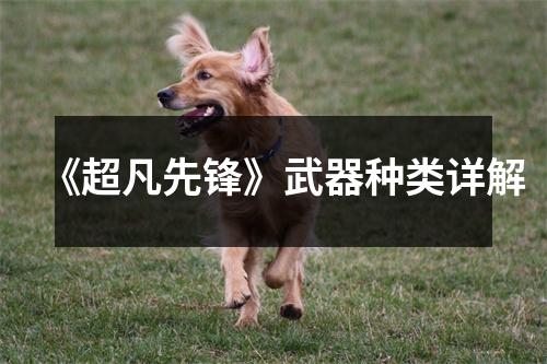 《超凡先锋》武器种类详解