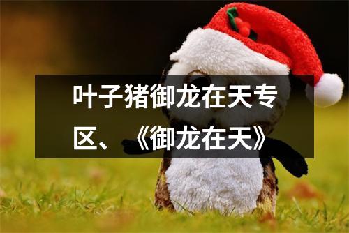叶子猪御龙在天专区、《御龙在天》