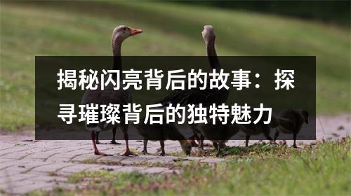 揭秘闪亮背后的故事：探寻璀璨背后的独特魅力