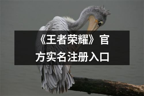 《王者荣耀》官方实名注册入口