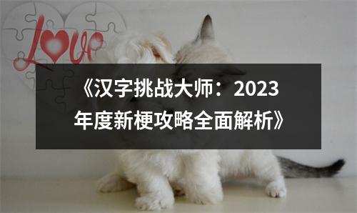 《汉字挑战大师：2023年度新梗攻略全面解析》