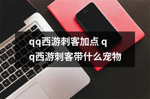 qq西游刺客加点 qq西游刺客带什么宠物