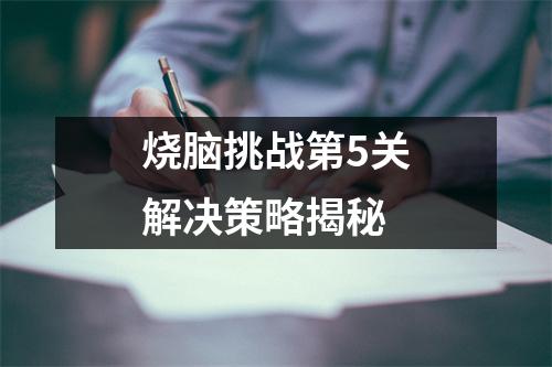烧脑挑战第5关解决策略揭秘