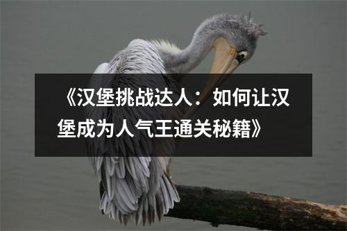 《汉堡挑战达人：如何让汉堡成为人气王通关秘籍》