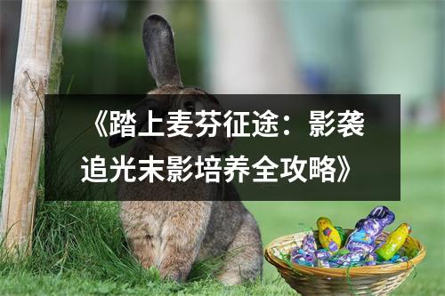 《踏上麦芬征途：影袭追光末影培养全攻略》