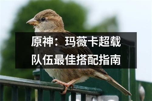 原神：玛薇卡超载队伍最佳搭配指南
