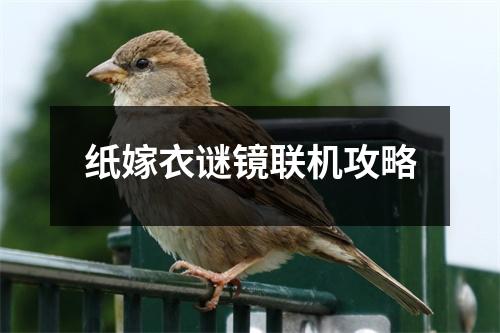 纸嫁衣谜镜联机攻略