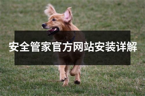 安全管家官方网站安装详解