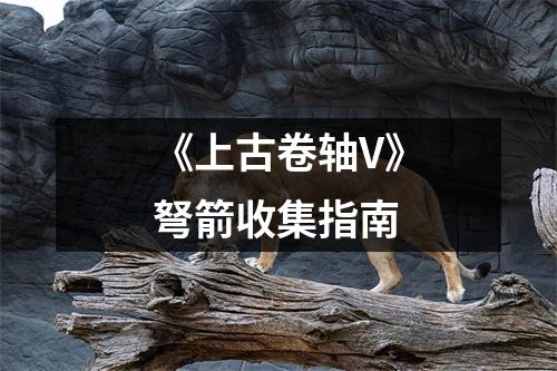《上古卷轴V》弩箭收集指南