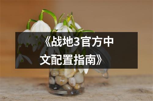 《战地3官方中文配置指南》