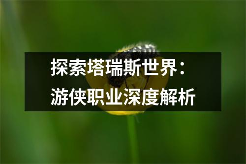 探索塔瑞斯世界：游侠职业深度解析