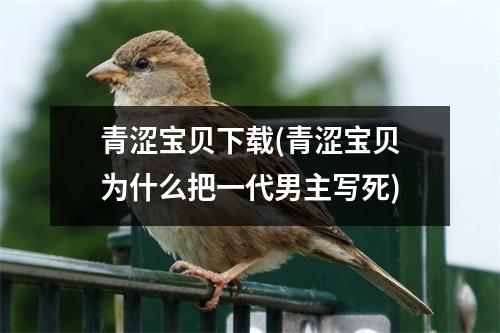青涩宝贝下载(青涩宝贝为什么把一代男主写死)