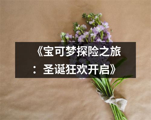 《宝可梦探险之旅：圣诞狂欢开启》