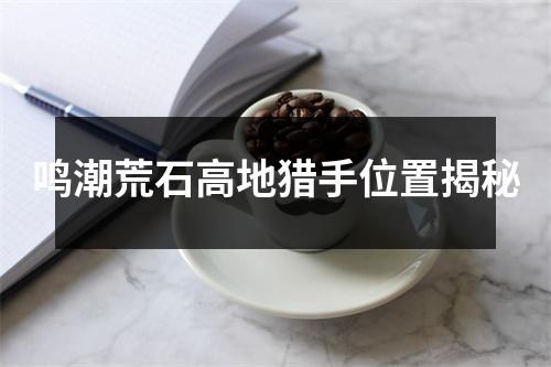 鸣潮荒石高地猎手位置揭秘