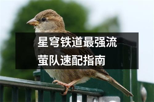 星穹铁道最强流萤队速配指南