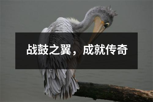 战鼓之翼，成就传奇