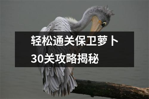 轻松通关保卫萝卜30关攻略揭秘