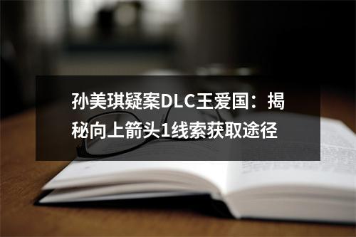 孙美琪疑案DLC王爱国：揭秘向上箭头1线索获取途径