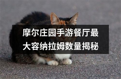 摩尔庄园手游餐厅最大容纳拉姆数量揭秘