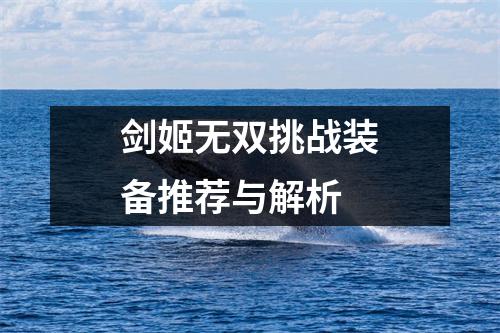 剑姬无双挑战装备推荐与解析