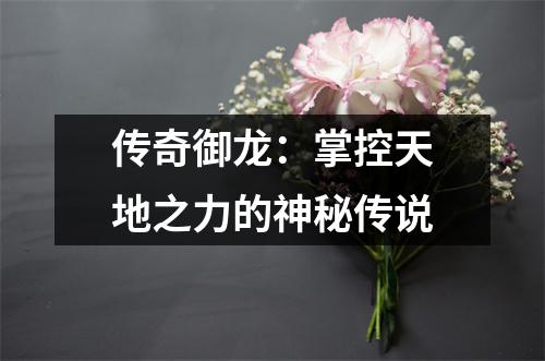 传奇御龙：掌控天地之力的神秘传说
